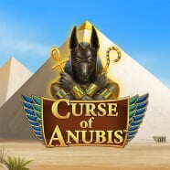 Curse of  Anubis